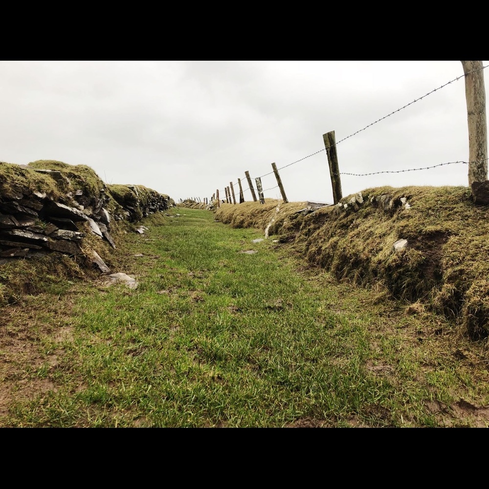 Meet your Posher, Rhonda